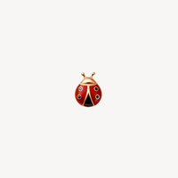 Ladybug Charm